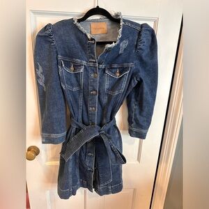 RetroFete designer denim dress